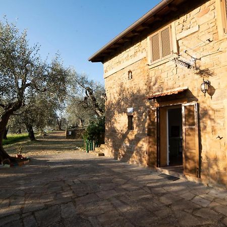 Casetta Maduneta Immersa In Un Oliveto Dolceacqua Dış mekan fotoğraf