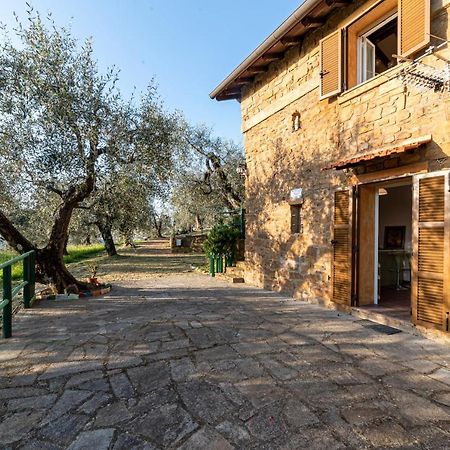 Casetta Maduneta Immersa In Un Oliveto Dolceacqua Dış mekan fotoğraf