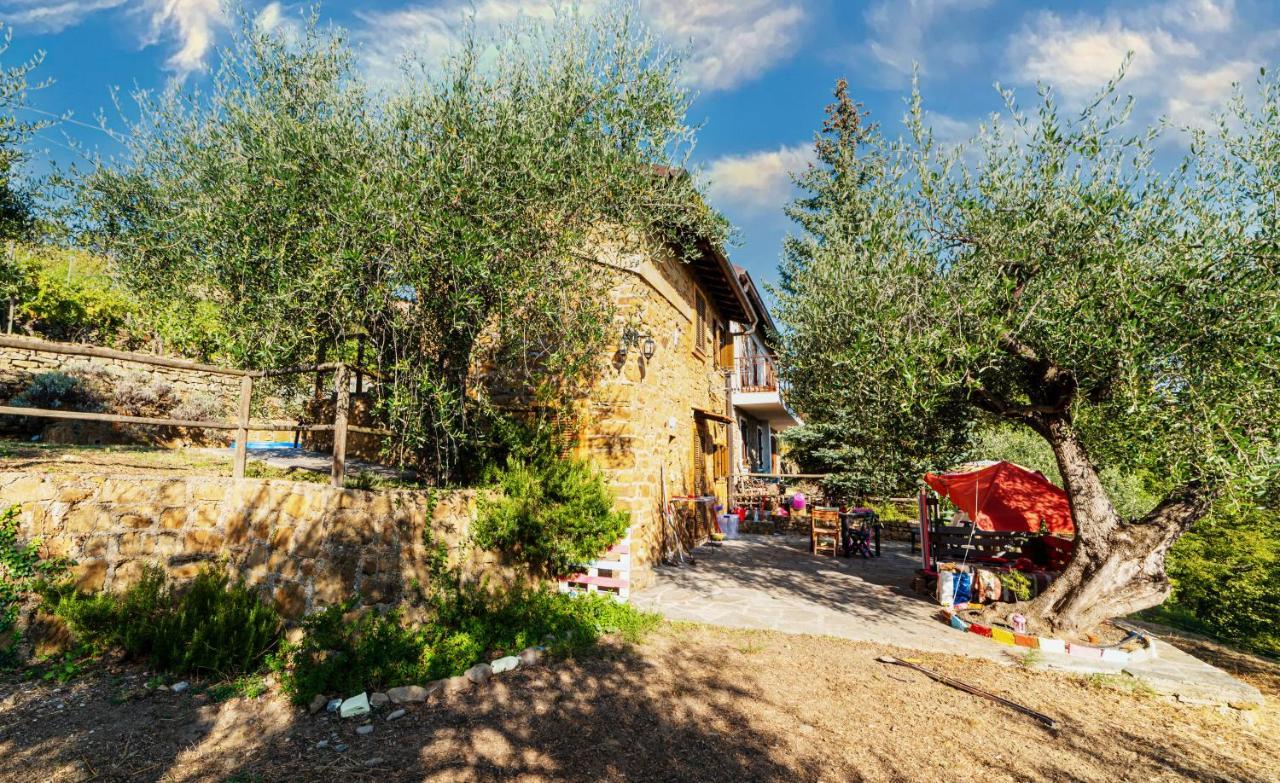 Casetta Maduneta Immersa In Un Oliveto Dolceacqua Dış mekan fotoğraf