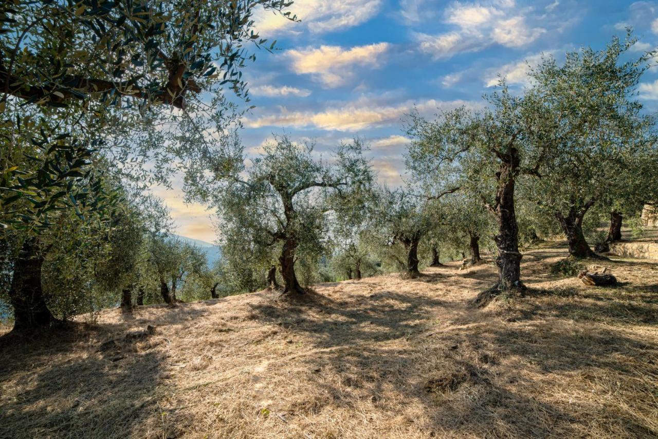 Casetta Maduneta Immersa In Un Oliveto Dolceacqua Dış mekan fotoğraf