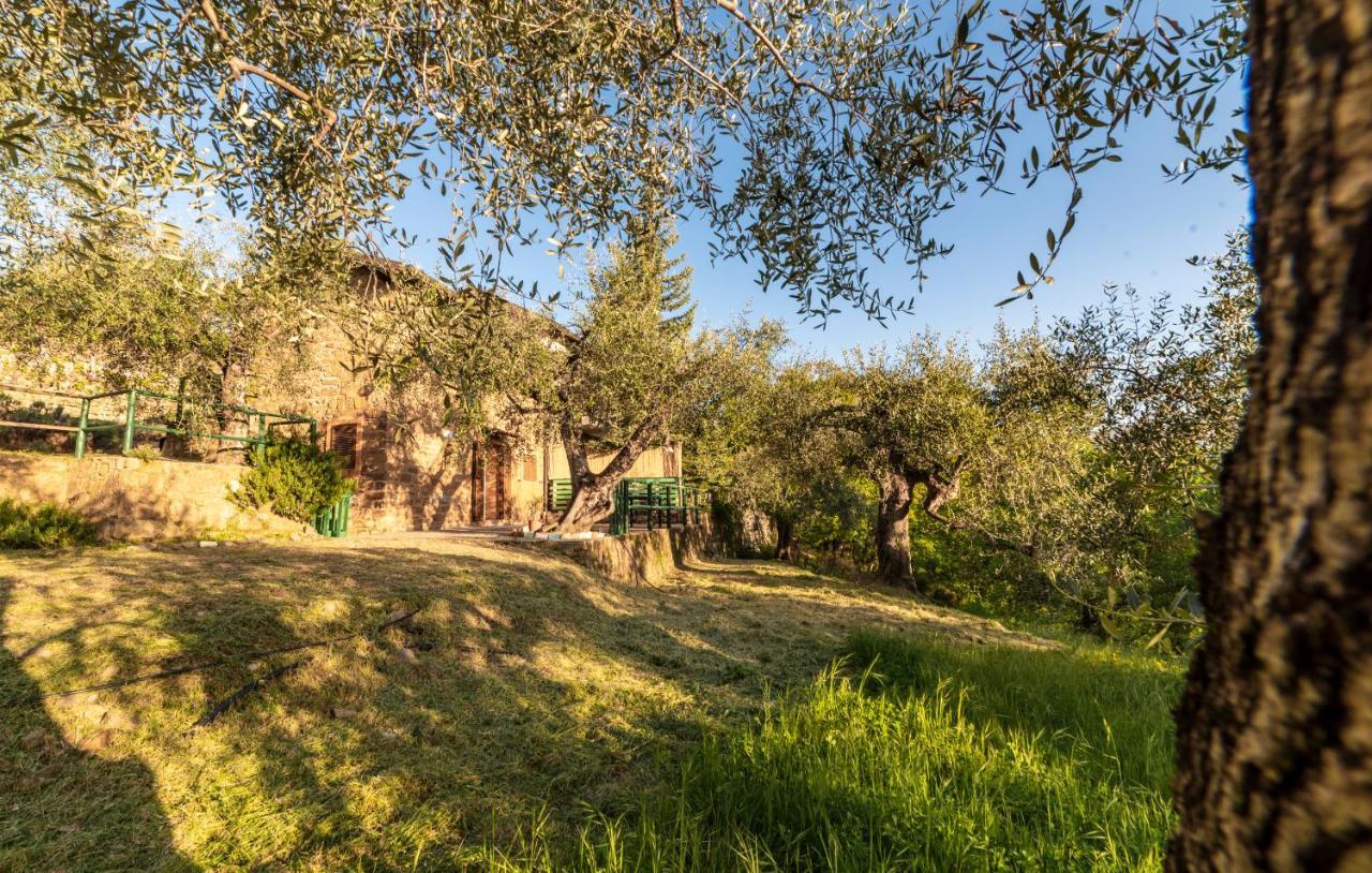 Casetta Maduneta Immersa In Un Oliveto Dolceacqua Dış mekan fotoğraf